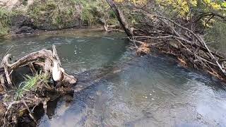 Inland Brown Trout Fishing