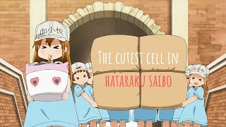 Cutest cell in cells at work