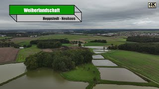 2024 10 14 Zwischen Heppstedt und Neuhaus, Landkreis ERH, herbstliche Weiherlandschaft 4K #mavic3