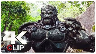 Optimus Prime Vs Primal   Fight Scene   TRANSFORMERS 7 RISE OF THE BEASTS NEW 2023 Movie CLIP 4K 1