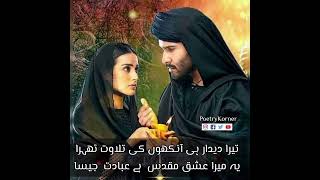 Urdu Poetry | Poetry Status | Poetry Korner | Shayari 2023