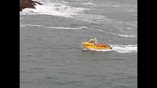 A yellow catamaran in Port Isaac