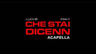 Luchè, Paky - Che Stai Dicenn (acapella)