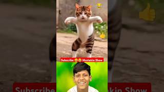 The cat 🐈 is dancing to the song 🎵😁🤣😄😂😁#shorts#dance#youtubeshorts#cuteanimal#cute#animals#trending#