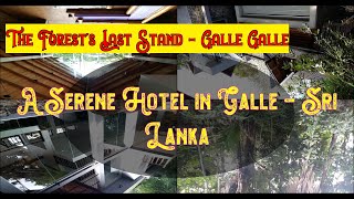 ✅  🌞  🌈   👌  The Forest's Last Stand - Galle, Sri Lanka | Spend all inclusive holidays.