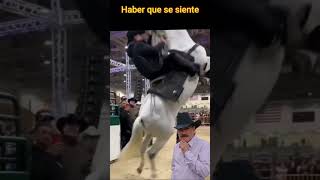 🐴 Les Dijó el Caballo ya me cansaron y van p Abajo 🤭😂 El Puma y El Chapo de Sinaloa