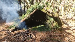 Building a Survival Bushcraft in the Woods - Off Grid Shelter