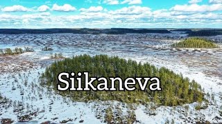 Siikaneva retkeilyalue 2021 | Dji Mavic 2 Pro