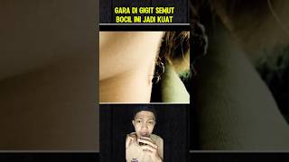 Gara gara di gigit semut, bocil ini jadi kuat