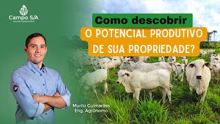 Como descobrir o potencial da sua propriedade?