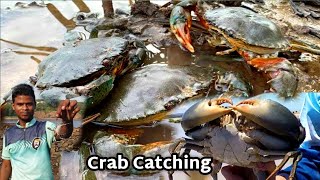 खडपातले खेकडे ( मुठे )| Noisestorm - Crab Rave | baby crab | mr. jeat | catching giant crab