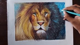 Drawing A Lion (Aslan) - Animal series 3 - Prismacolor pencils