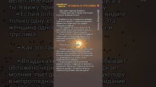 🦉НА ЧТО способна ЖЕНЩИНА❓ Психология мотивации, цитаты, саморазвитие, философия