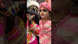 भले इस तन से निकले प्राण मगर ये छवि न निकलेगी #shorts #trendingsong #viral #radhakrishna