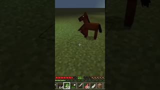 The Rare Two Headed Horse in Minecraft