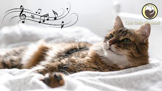 Music to Calm Cats - Deep Sleep Music, Relaxing Music, Anxiety Relief