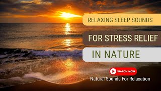 How To Make you Deep Sleep: Best Ocean Waves Ambient Sounds for Relaxation, and Out of Stress Relief