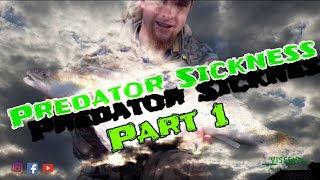 Predator Sickness part 1