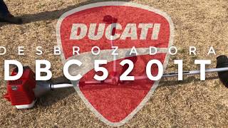 Desbrozadora Ducati DBC5201T