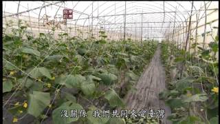 20140327《蔬果廚房》希臘燉胡瓜