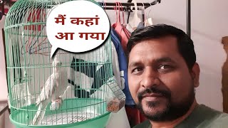 New vlog hindi | घर ड्राइवर वीडियो देखिए | Manoj Yadav