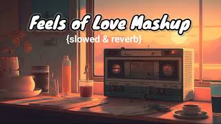 Feels of Love Mashup | Arijit Singh Songs | Slowed_reverb 2024| Bollywood Love Songs