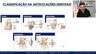 Classificação das articulações sinoviais - Sistema articular - Anatomia direto ao ponto!