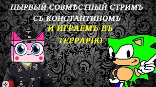 Совместный стрим с Константином и играем в Террарию