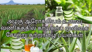 காயகற்பமூலிகை சோற்று கற்றாழை பயன்கள்/ALOE VERA BENEFITS IN TAMIL