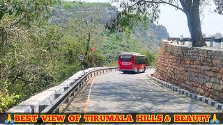 Downhills Of Tirumala Beauty..! అద్భుతంమైన తిరుమల కొండలు 🚍🚌🚌, Moving Tubes