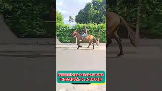 DESEMBARGADOR HOGSÃO JORGE#mangalargamachador/#mangalargadobrasil/#mangalargadeelite/#viral_video