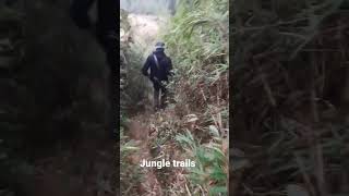 Jungle trails in the mountain #livinginsolito