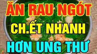 Cảnh Báo: 3 Sai Lầm Khi Ăn RAU NGÓT Kiểu Này, Phá Gan Thận RƯỚC U.NG TH.Ư Vào Người CHẾTT ĐỘT TỬ