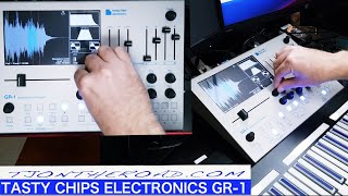 Tasty Chips Electronics GR-1 First Look