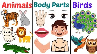 Name of Animals, Birds & Human Body Parts in English & Hindi 😃animals name, birds name, body parts