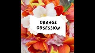 Orange Obsession