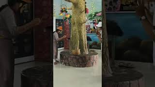 Capseller and the Monkeys Malayalam song #actionsong #trending  #activity #school