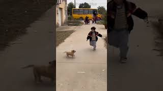 Puppy Excitedly Waits for His Best Friend Every Day After School! 🐕👦