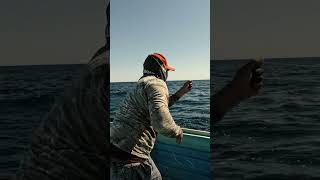 Hand lining Yellowfin Tuna #fishing