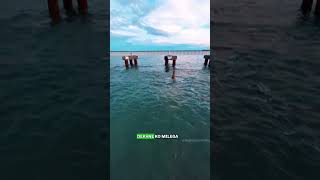 Ram Setu - Rameshwaram | Budget Plan 🎟️ #budgettrip #travelshorts