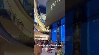 Dubai mall aquarium