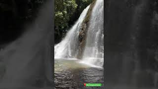 Waterfall the nature beauty #nature #waterfall #beauty