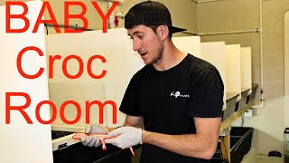 RAREST BABY Alligator Room in America!!