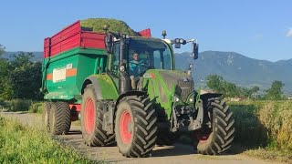 TRINCIATURA TRITICALE | CLAAS JAGUAR 840 - FENDT 716 VARIO - JOHN DEERE 6530 | FATTORIA TARTAGLIA