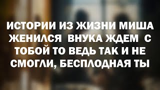 Истории из жизни Миша женился  Внука ждем  С тобой то ведь так и не смогли, бесплодная ты