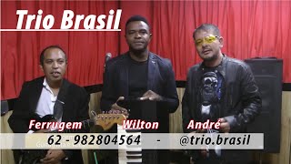 Banda Trio Brasil (Playlist)