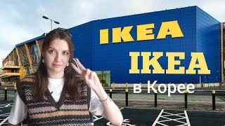 Шоппинг влог: Икеа в Корее. Сканди уют. История успеха IKEA.