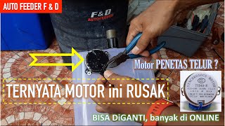 MOTOR nya RUSAK AUTO FEEDER  F&D | TERNYATA sama dengan MOTOR PENETAS TELUR