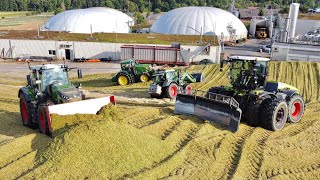 1000ha Mais!!! Silo Aktion auf der BGA Oberrixingen