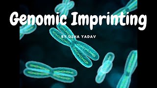 Genomic Imprinting || #genetics